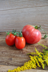 fresh tomatoes on wooden background