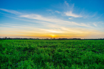 Sunset behind green Field