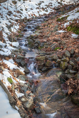 stream in the forest