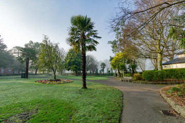 In the park with palm tree, grass and multi color flowers