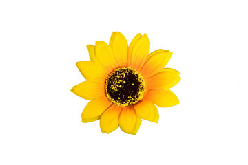 Artificial sunflower isolated on white  background with copy space	