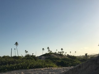 sunset on the beach