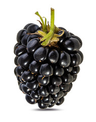 Fresh blackberry isolated on white background with clipping path