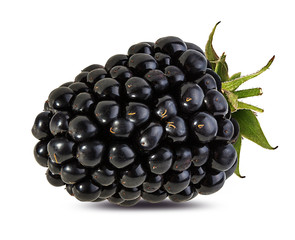 Fresh blackberry isolated on white background with clipping path
