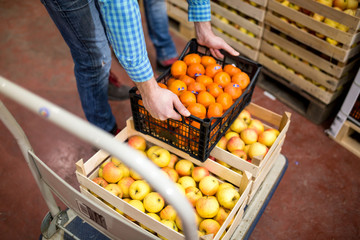 Fresh vegetables and fruit in warehouse