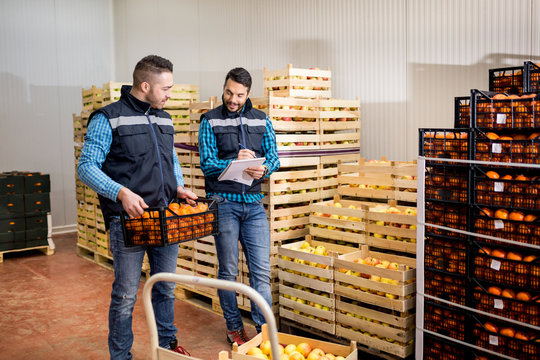 Fresh vegetables and fruit in warehouse