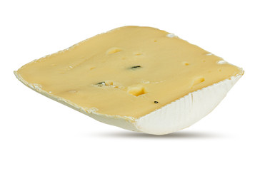 White mould cheese isolated on white background with clipping path