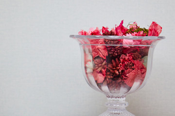 Beautiful red dry flowers in vintage or rustic glass vase on the white background with copy space