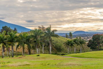 Tropical golf course with palm trees by mountain