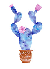 Watercolor galaxy handpainted cactus plant isolated on white background.