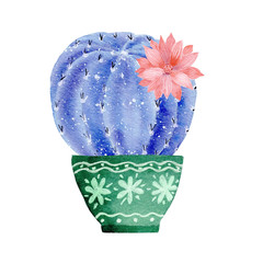 Watercolor galaxy handpainted cactus plant isolated on white background.