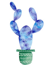 Watercolor galaxy handpainted cactus plant isolated on white background.