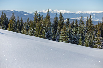 The wonderful winter landscape of the Carpathians with a blurred foreground and superb bokeh of snow cover in the sun. 