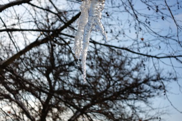 Icicles.