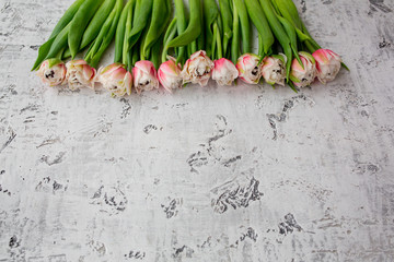 flowers in the background