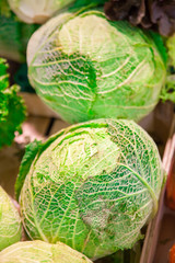 Heads of cabbage on a counter in the market close up