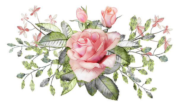 Flower arrangement of pink roses and abstract leaves.  Watercolor picture of a twig on a white isolated background.