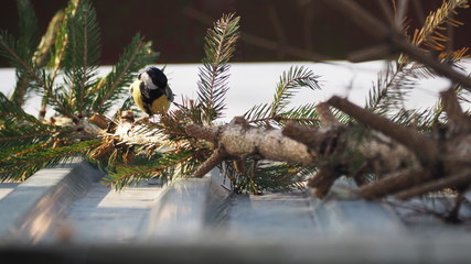 OLYMPUS DIGITAL CAMERA © Magorzata