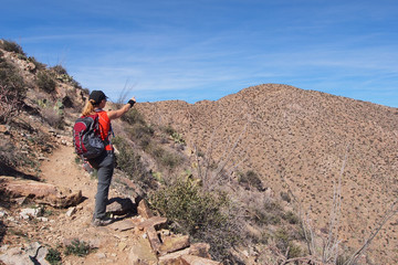 Naklejka premium Woman hiking the King Canyon Trail in the Tucson Mountains area of Saguaro National Park, Arizona.