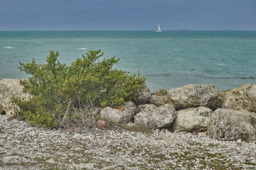 Beach in Key West, Florida, USA