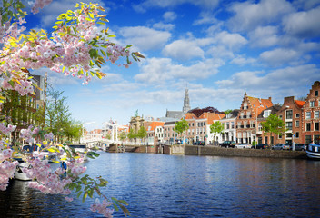 Spaarne river and old Haarlem - obrazy, fototapety, plakaty