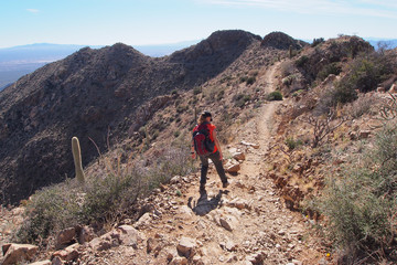 Woman hiking the King Canyon Trail in the Tucson Mountains area of Saguaro National Park, Arizona.