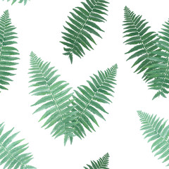 Herbs and Leaves Botanical Seamless Pattern. Fern Leaf Natural Background. Floral Forest Field Plants Design for Wallpaper Print Tropical Decoration. Vector illustration