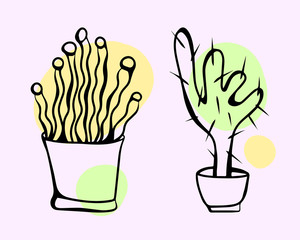 Cartoon style vector illustration of house plants with yellow, green spots. Great design elements for sticker, card, print or poster. Unique and fun drawing isolated on pink background. Doodle set