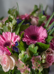 bouquet of flowers from pink gerberas, irises, lilies, roses (close up)