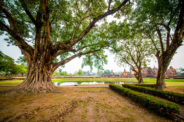 Fototapeta na wymiar Parque histórico nacional em Sukhothai, Tailândia.