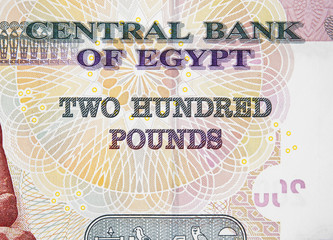 Egyptian 200 pound note close up. Central bank of Egypt. Egypt money currency.