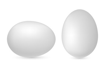 Vector realistic 3d image (mock-up) of white egg, isolated on white background. Template for easter. EPS 10.