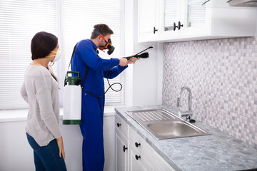 Woman And Worker Spraying Pesticide In Kitchen