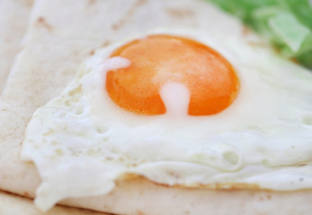 Egg omelet with tortilla bread in a plate