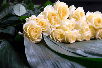 Bunch of beautiful roses with golden bokeh for mothers day close up