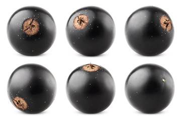 Black currant isolated on white background, clipping path, full depth of field