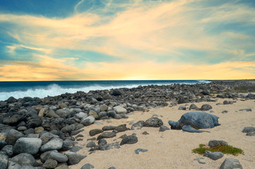 North Seymour Galapagos Island with sea turtle and sunset sky