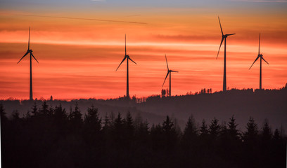 Fototapeta premium windpark