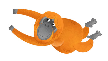 cartoon scene with monkey orangutan on white background - illustration for children