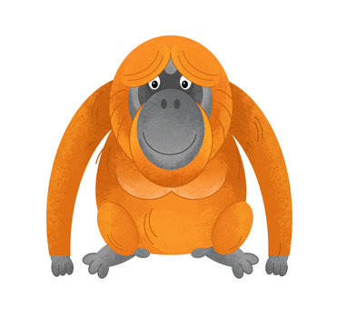 recommend clip art: cartoon scene with monkey orangutan on white background - illustration for children