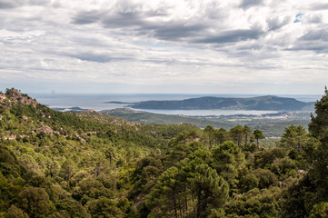 A landscape overlooking a forested coast in Corsica, France