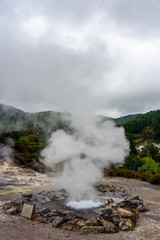 Fototapeta premium thermal pools in furnas, view of the hot water thermal pool in furnas, sao miguel, azores.