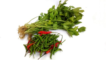 Celery vegetables, green and red paprika on white background