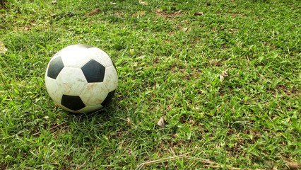 Soccer ball on natural grass field in Thailand.