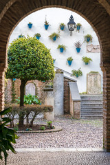 Inside a typical courtyard of Cordoba, Spain - 251082221