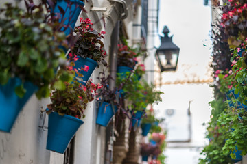 Detail of a street in Cordoba, full of flowers,Spain - 251082224