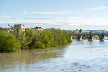 General view of the Roman bridge of Cordoba on the Guadalquivir river - 251082236