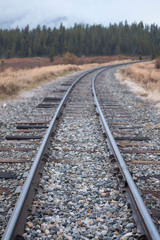 Fototapeta na wymiar Train tracks in the wilderness