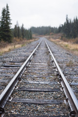 Fototapeta premium Train tracks in the wilderness