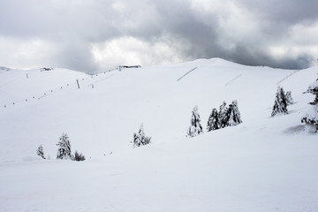 Beautiful landscapes and trees under snow